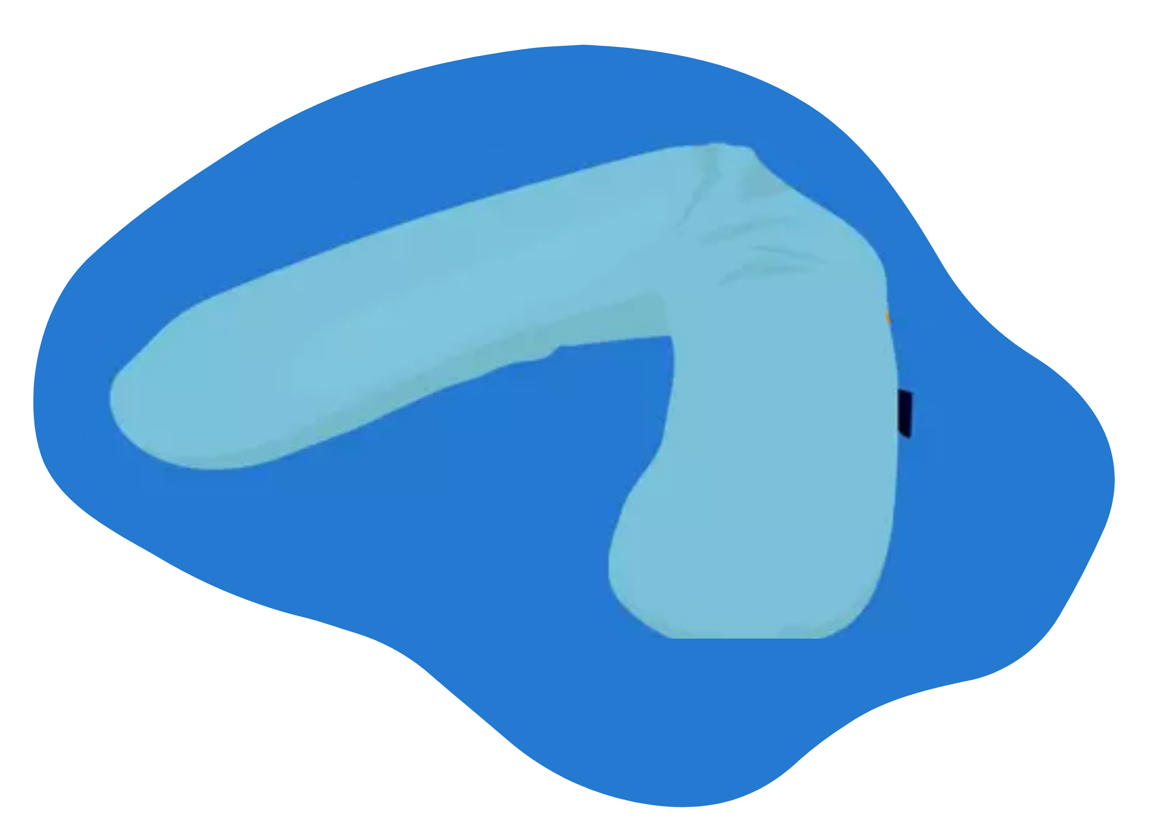 coussin maternite forme de u